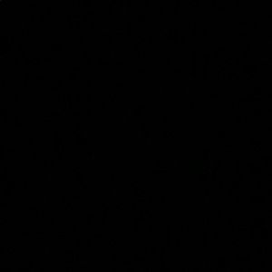 Meet your Posher, Monae